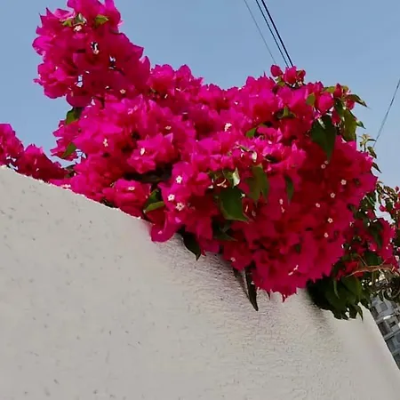 Niko Apartament * Sarande